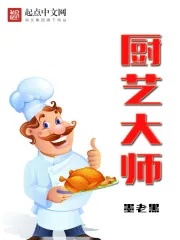 《厨艺大师》小说封面