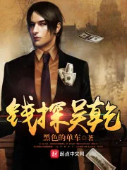 《钱探吴乾》小说封面