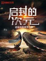 《启封的次元》小说封面
