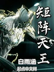 《矩阵天王》小说封面