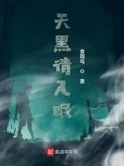 《天黑请入眠》小说封面