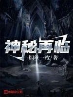 《神秘再临》小说封面