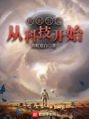 《模拟公司从科技开始》小说封面