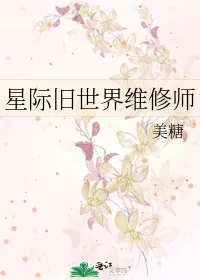 《星际旧世界维修师》小说封面
