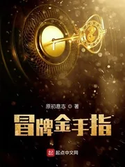 《冒牌金手指》小说封面