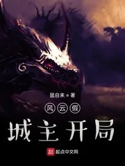 《风云假城主开局》小说封面