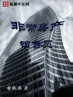 《非常房产销售员》小说封面