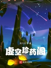 《虚空珍药阁》小说封面
