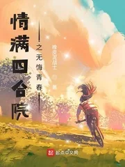 《情满四合院之无悔青春》小说封面