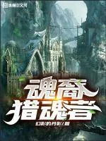 《魂裔猎魂者》小说封面