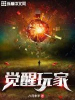 《觉醒玩家》小说封面