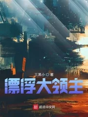 《漂浮大领主》小说封面