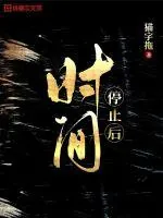 《时间停止后》小说封面