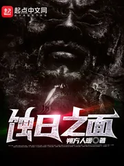 《蚀日之面》小说封面