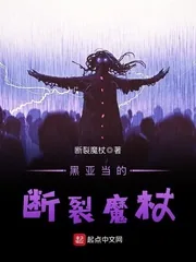 《黑亚当的断裂魔杖》小说封面
