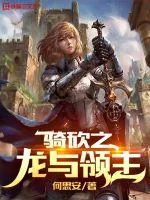 《骑砍之龙与领主》小说封面