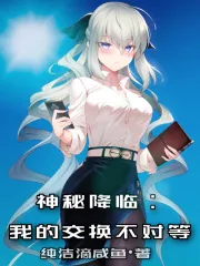 《神秘降临：我的交换不对等》小说封面
