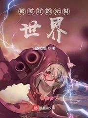 《那美好的无限世界》小说封面