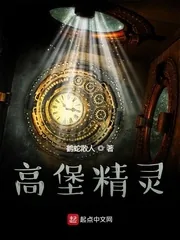 《高堡精灵》小说封面