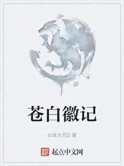 《苍白徽记》小说封面