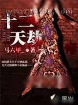 《十二天劫》小说封面