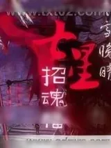 《七星招魂幡》小说封面