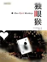 《独眼猴》小说封面