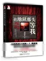 《在地狱那头等我》小说封面