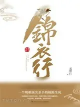《锦衣行：秉刀夜游》小说封面