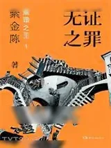 《推理之王1：无证之罪》小说封面
