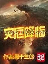 《灾厄降临》小说封面