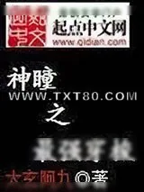 《神瞳之最强穿梭》小说封面