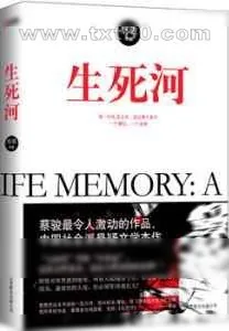 《生死河》小说封面