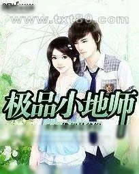 《极品小地师》小说封面