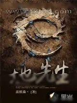 《地先生》小说封面
