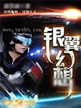 《银翼幻想》小说封面