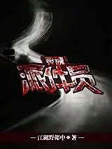 《灵魂派件员》小说封面