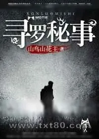 《寻罗秘事》小说封面