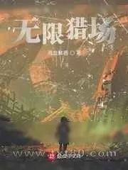 《异化危机》小说封面