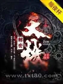 《解密天机》小说封面