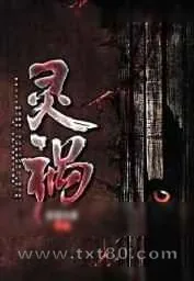 《灵祸》小说封面