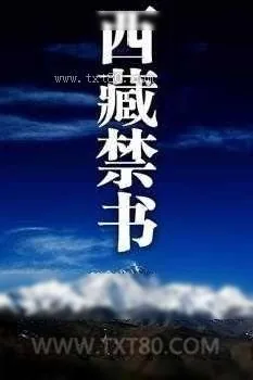 《西藏禁书》小说封面
