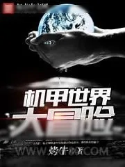 《机甲世界大冒险》小说封面
