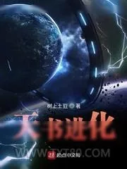 《天书进化》小说封面