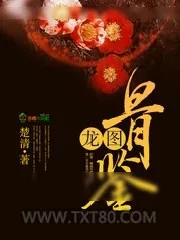 《龙图骨鉴》小说封面
