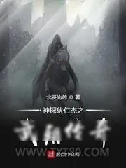 《神探狄仁杰之武朝传奇》小说封面