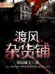 《渡风杂货铺》小说封面