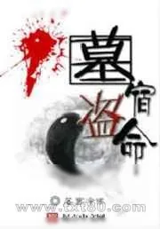 《盗墓宿命》小说封面