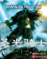 《圣光骑士》小说封面
