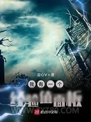 《我有一个经验值面板》小说封面